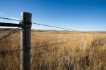 2016 Deer Hunt-13.jpg