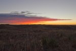 2016 Deer Hunt-24.jpg