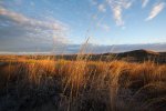 2016 Deer Hunt-27.jpg