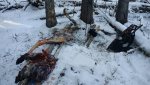 20161119_090103.jpg