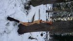 20161119_090123.jpg
