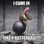 Funny-Turkey-Pics-Images-768x768.jpg