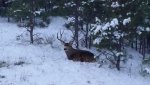 20161124_070432.jpg