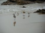 DSCN0532.jpg