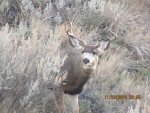 IMG_0006.jpg