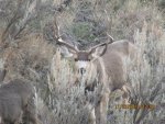 IMG_0007.jpg