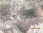 IMG_0010.jpg