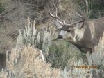 IMG_0011.jpg