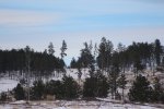 IMG_3894.jpg