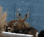 IMG_20170103_132959_618.jpg