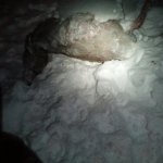 IMG_20170103_184555.jpg