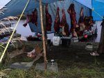 DSC00402.jpg