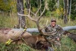 Dustin's Utah Bull.jpg