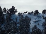 DSCN0696.jpg