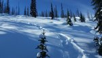 20170129_120844.jpg