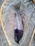 IMG_20170319_125544.jpg