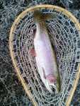 IMG_20170323_091628.jpg