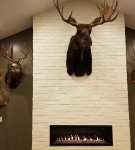 20170407_012659.jpg