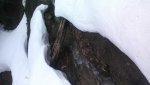 20170417_065347.jpg