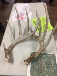 unnamed (1).jpg