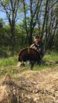bird3.jpg