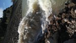 20170509_095406.jpg