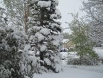 DSCN0789.jpg