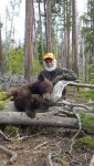 Bear2017.jpg