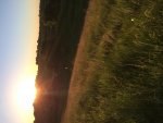 IMG_2030.jpg