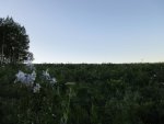 IMG_1134.jpg