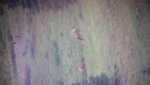 20170712_063139.jpg