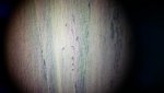 20170712_071700.jpg