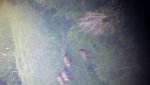 20170712_072619.jpg