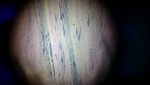 20170712_071745.jpg