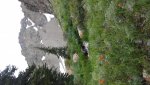 20170727_103250.jpg