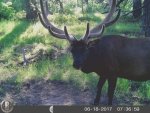 HUNT0370.jpg