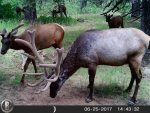 HUNT0603.jpg