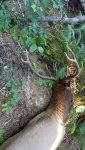 20170826_092623.jpg