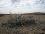IMG_1747.jpg