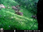 HUNT0705.jpg