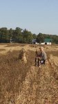 IMG_20170903_101505242.jpg