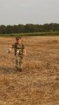 IMG_20170904_171539967.jpg