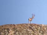 IMG_2734.jpg