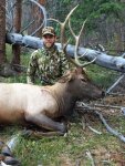 elk.jpg