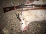 Steve Goat gun 2017.jpg