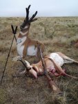Steve Antelope small 2017.jpg