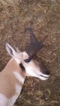 IMG_20170916_082331684.jpg