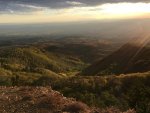 IMG_1192.jpg