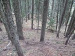 IMG_0621.jpg