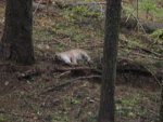 IMG_0622.jpg